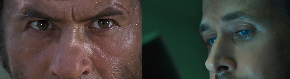 Extreme Close-Up Technique: Focusing on Very Small Details