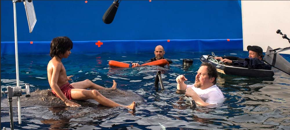 Chromaticity in the world of cinema and its color structure